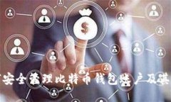 如何安全管理比特币钱包