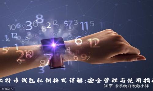 比特币钱包私钥格式详解：安全管理与使用指南