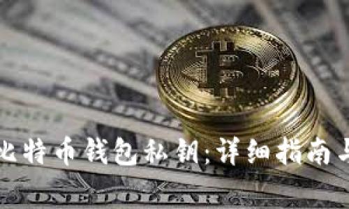 如何导入比特币钱包私钥：详细指南与注意事项