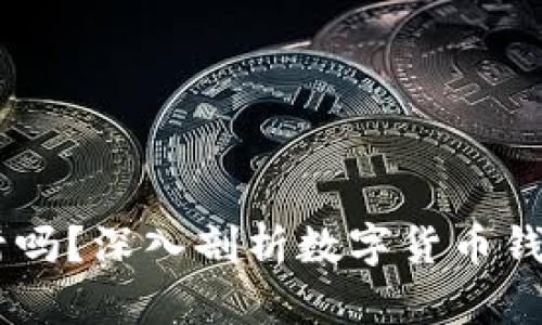 USDT钱包会被封吗？深入剖析数字货币钱包安全性与风险