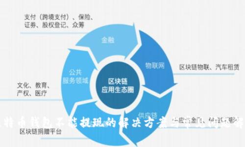 比特币钱包不能提现的解决方案与常见问题解答