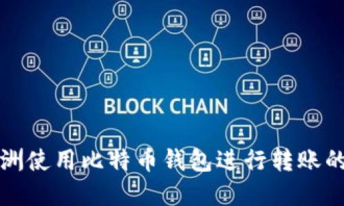 如何在非洲使用比特币钱包进行转账的详细指南