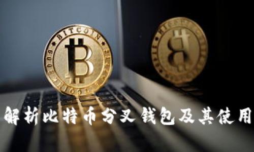 全面解析比特币分叉钱包及其使用指南