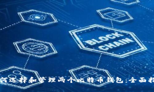 如何选择和管理两个比特币钱包：全面指南