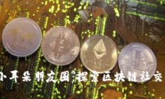 Web3小耳朵朋友圈：探索区