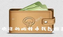 2023年最受欢迎的比特币钱