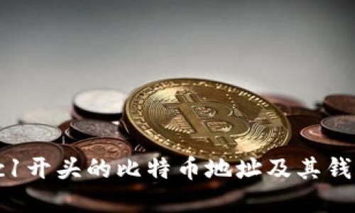 理解bc1开头的比特币地址及其钱包类型