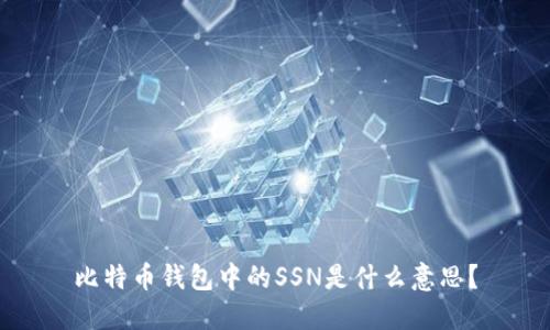 比特币钱包中的SSN是什么意思？