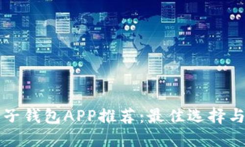 比特币电子钱包APP推荐：最佳选择与使用指南