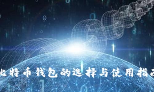 比特币钱包的选择与使用指南