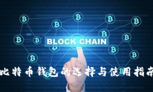 比特币钱包的选择与使用指南