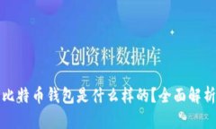最好的比特币钱包是什么