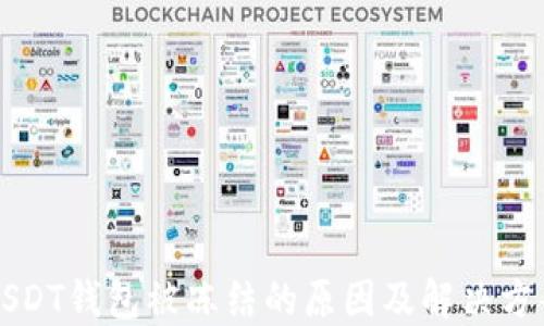
USDT钱包被冻结的原因及解决方案