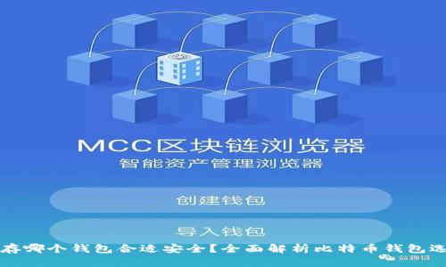 比特币存哪个钱包合适安全？全面解析比特币钱包选择指南