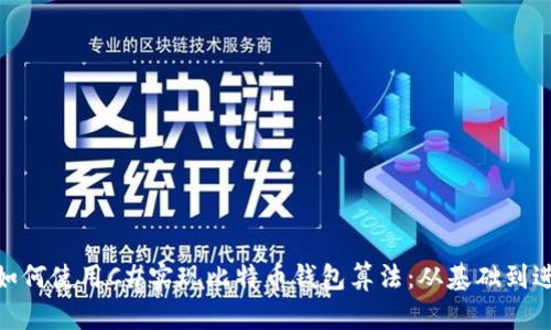 : 如何使用C#实现比特币钱包算法：从基础到进阶