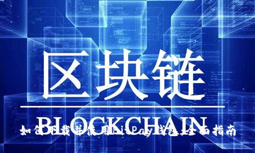 如何下载并使用BitPay钱包：全面指南