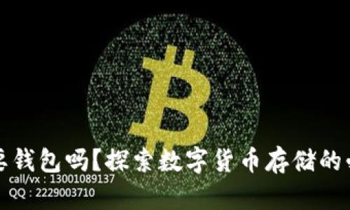 比特币一定需要钱包吗？探索数字货币存储的必要性与安全性