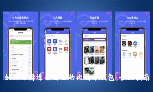 如何选择适合自己的比特币钱包：全面指南