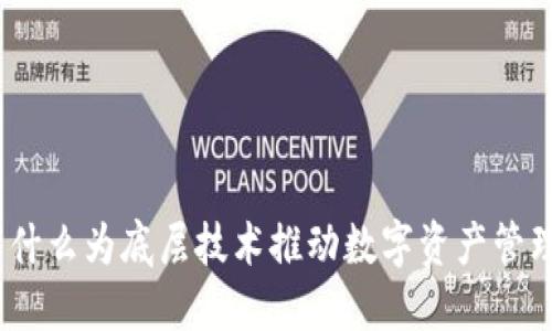 TP钱包：以什么为底层技术推动数字资产管理的新纪元