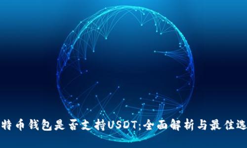 比特币钱包是否支持USDT：全面解析与最佳选择