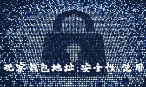 深入解析比特币观察钱包地址：安全性、使用方法与常见问题