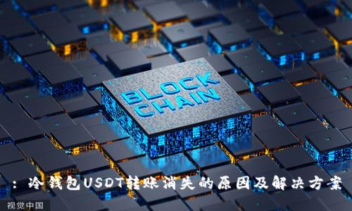 : 冷钱包USDT转账消失的原因及解决方案