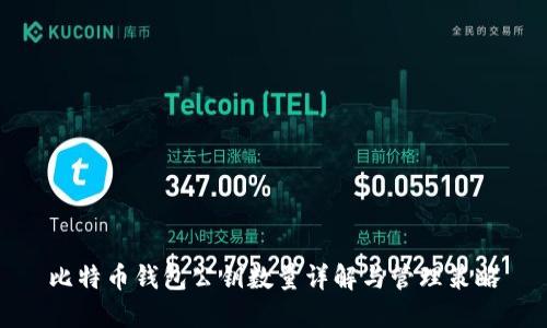 比特币钱包公钥数量详解与管理策略