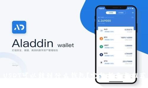 USDT可以转到什么钱包？完整指南与推荐