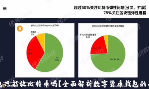 
比特币钱包只能放比特币吗？全面解析数字货币钱包的功能与类型