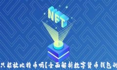 比特币钱包只能放比特币