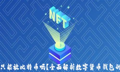
比特币钱包只能放比特币吗？全面解析数字货币钱包的功能与类型
