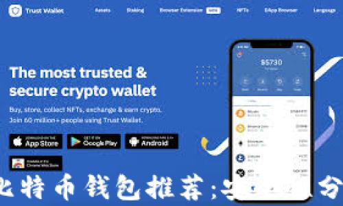 
2023年最佳比特币钱包推荐：安全性分析与选择指南