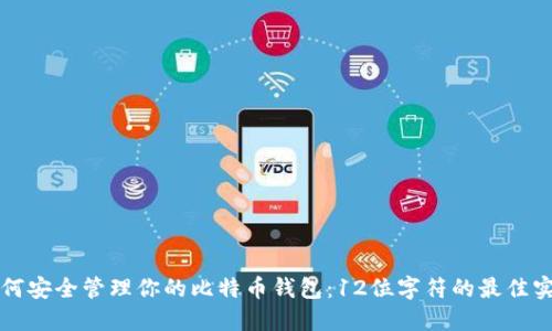 如何安全管理你的比特币钱包：12位字符的最佳实践