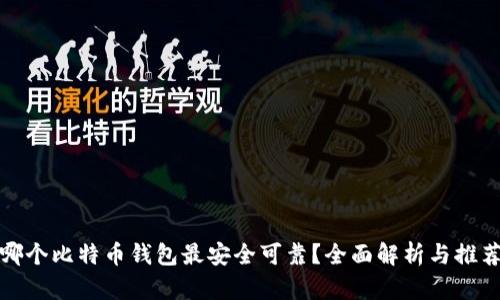 哪个比特币钱包最安全可靠？全面解析与推荐