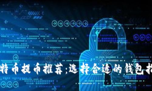 比特币提币推荐：选择合适的钱包指南