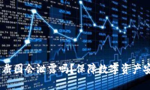 USDT钱包截图会泄露吗？保障数字资产安全的指南
