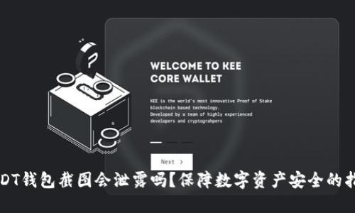 USDT钱包截图会泄露吗？保障数字资产安全的指南