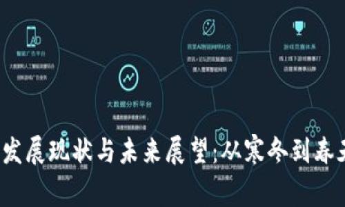 Web3的发展现状与未来展望：从寒冬到春天的探索