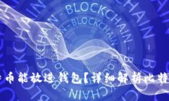 多少个比特币能放进钱包