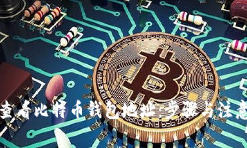 如何查看比特币钱包地址：步骤与注意事项