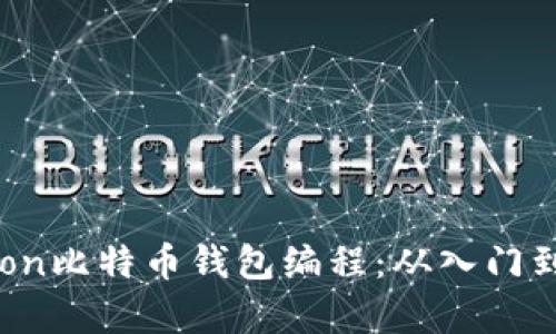 Python比特币钱包编程：从入门到实践