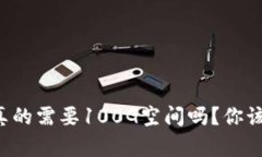 比特币钱包真的需要100G空