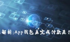 常见问题解析：App钱包未