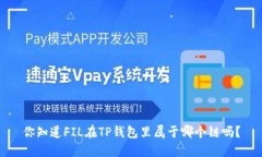 你知道FIL在TP钱包里属于哪