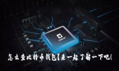 怎么查比特币钱包？来一