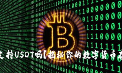 TP钱包支持USDT吗？揭秘你的数字货币存储选择