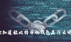 你知道放比特币的钱包是