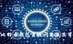 如何解决比特币钱包负数