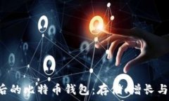  5年后的比特币钱包：存储