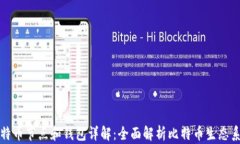 比特币节点和钱包详解：